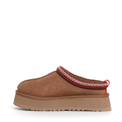 Tazz montone chestnut profilo rosso