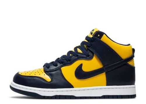 Nikdjke Dunk High Heel Shoes