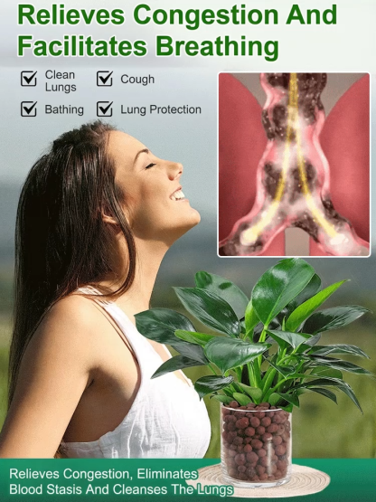 Golden Philodendron | Natural Air Purifier for Allergies and Odors | Self Watering Pot Included 🌿🌱