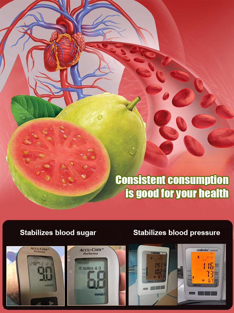 【Low fat, anti-three highs】 Premium Red Flesh Guava Tree Seedling 🪴 | Fast Growing Patio Fruit Plant |DEFRA Certified | Rich Vitamin C 🌿