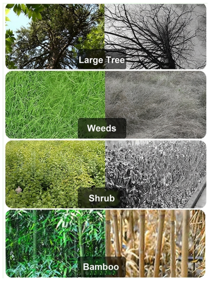 Feld-Tiger Deep Root Destroyer Granules | Kills Stumps BambooIvy | 3-Hour Fast Action | Pet Safe 🌳