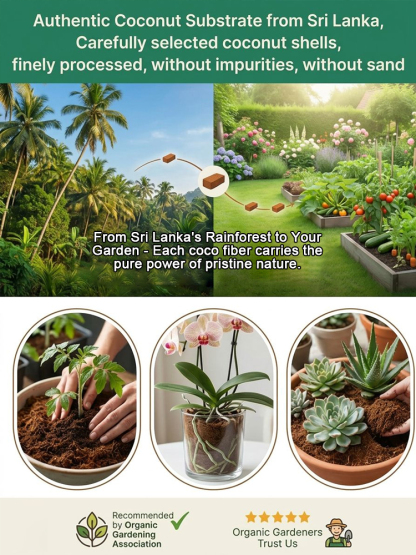 Just Add Water Soil Substitute | Compressed Coco Coir Brick | Expands 10X |Bug-Free Indoor Potting Mix 🌱