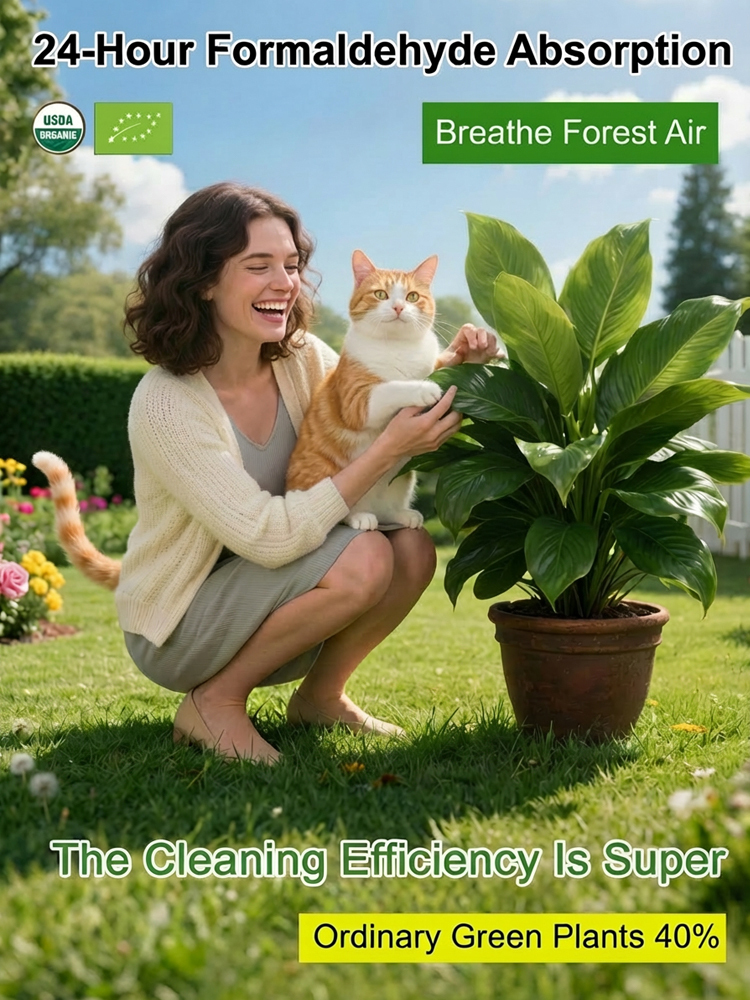 Golden Philodendron | Natural Air Purifier for Allergies and Odors | Self Watering Pot Included 🌿🌱