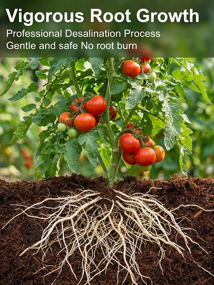 Just Add Water Soil Substitute | Compressed Coco Coir Brick | Expands 10X |Bug-Free Indoor Potting Mix 🌱