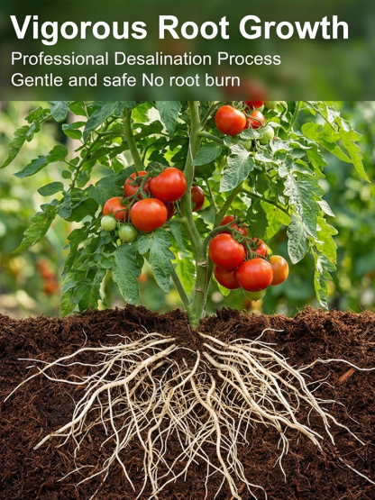 Just Add Water Soil Substitute | Compressed Coco Coir Brick | Expands 10X |Bug-Free Indoor Potting Mix 🌱