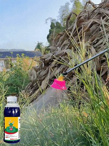 ⭐Professional Glufosinate-ammonium Herbicide ⭐ Fast Root Killing ⭐ Soil Safe Formula ⭐ Rain Resistant ⭐