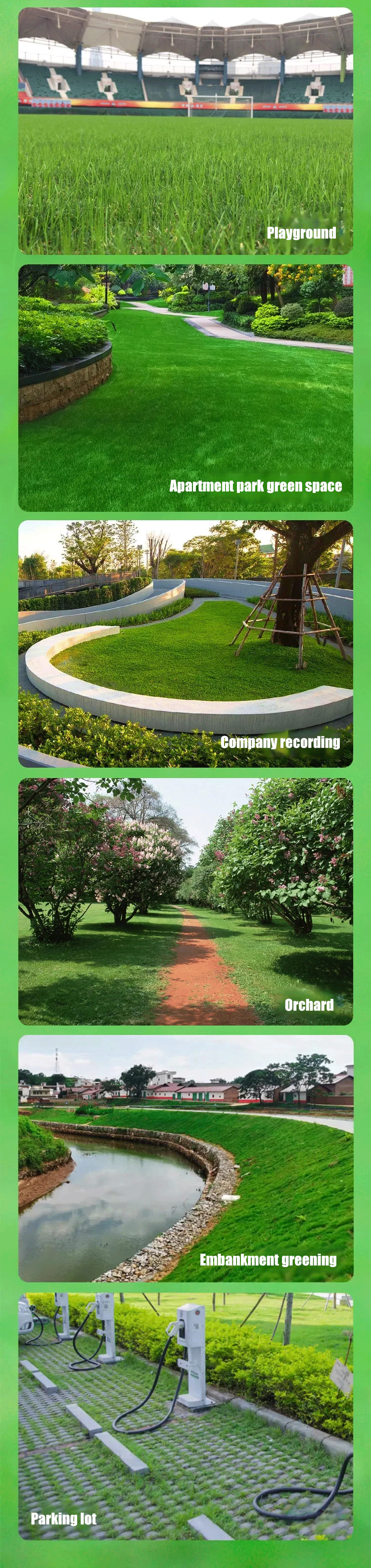 High-Density Repair Grass Seed - Dutch Technology Fast Germination Lawn Seed (7-Day Growth, 99% Germination Rate)