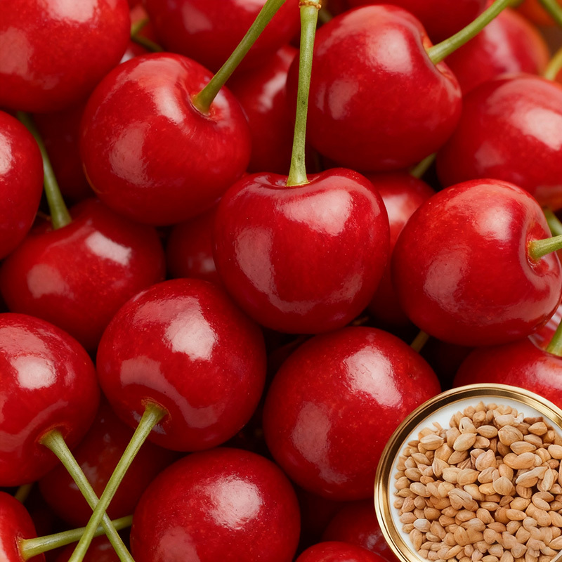 【High Germination Rate】Giant Chilean Ruby Cherry Seeds | Multi-Variety Home Orchard Mix 🍒🌱