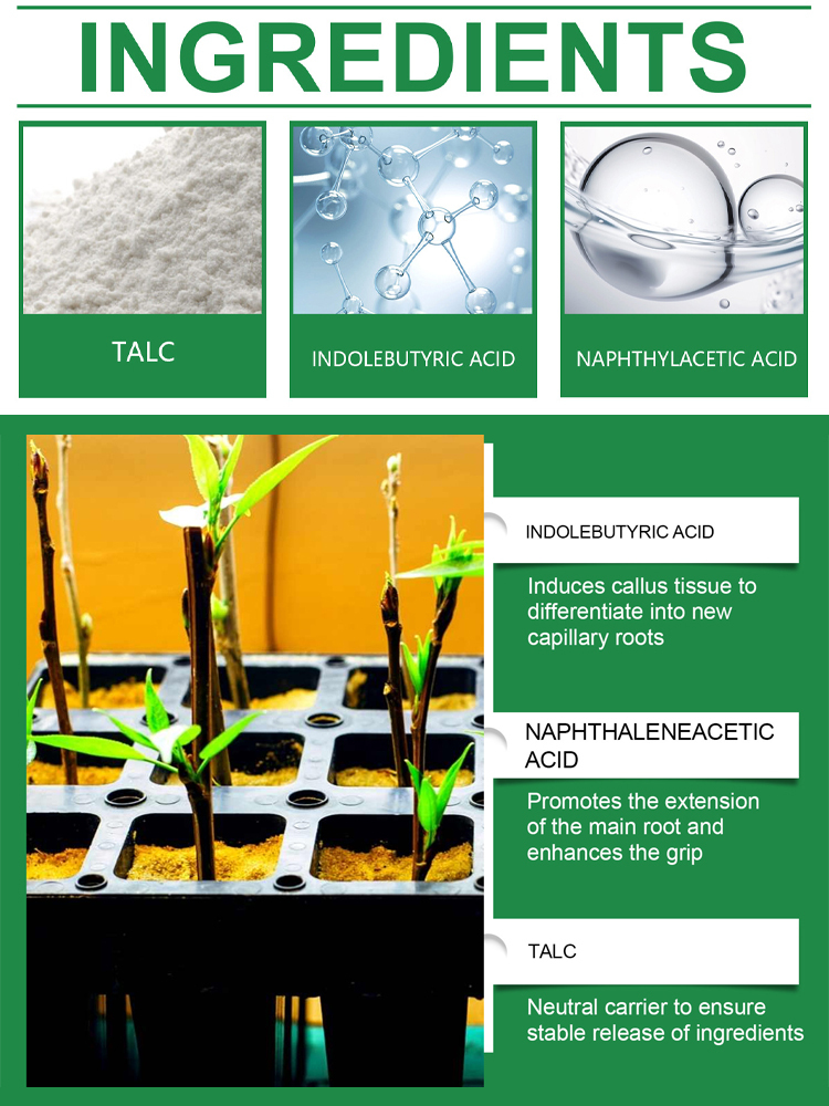 【Even After Death, It Can Live】Soil Nutrient Activator