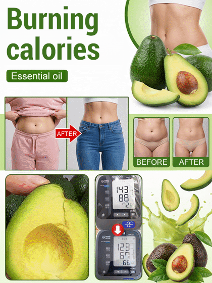 Variety Mexican Avocado Sapling (Fruits in First Year)