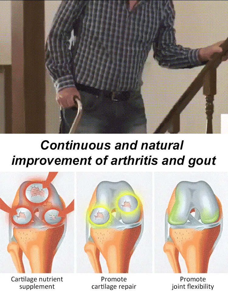 【High Germination Rate】Giant Chilean Ruby Cherry Seeds | Multi-Variety Home Orchard Mix 🍒🌱