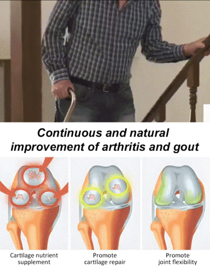 【High Germination Rate】Giant Chilean Ruby Cherry Seeds | Multi-Variety Home Orchard Mix 🍒🌱