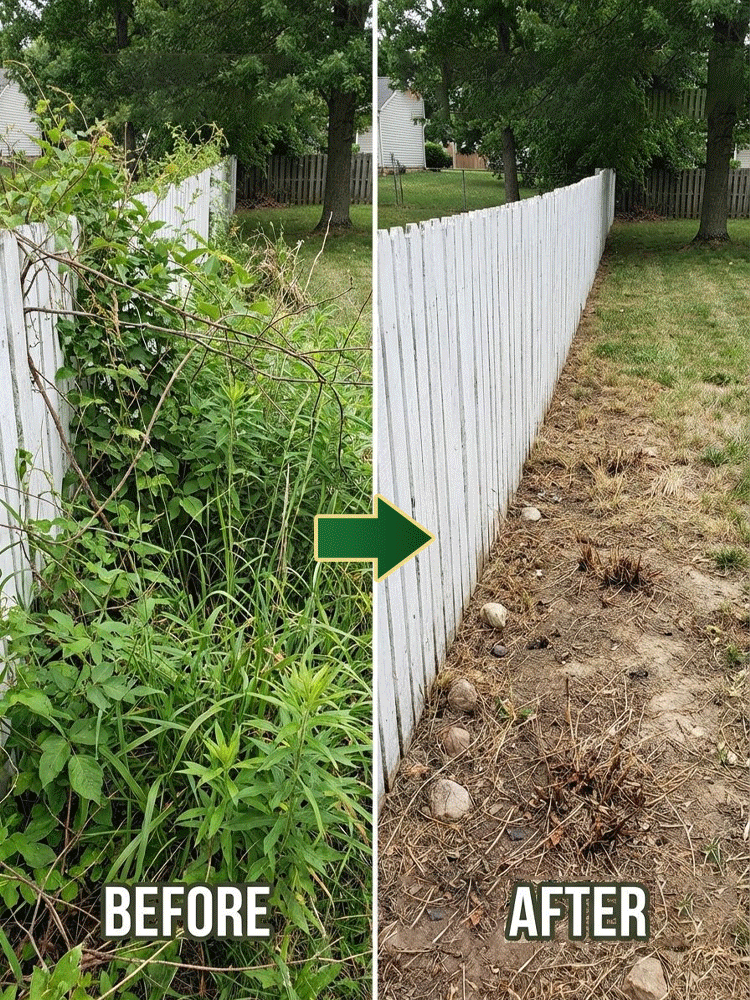 Herbicide and root rot control agent【99% weed control rate】