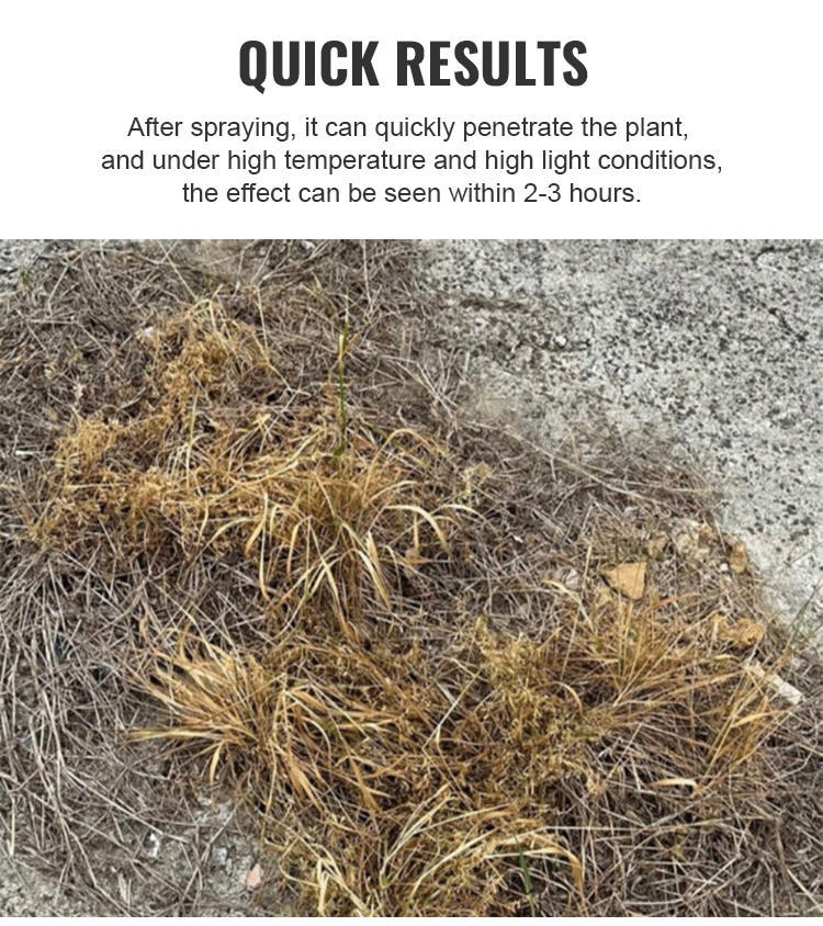 Glufosinate-Ammonium Herbicide for Orchard Weed Control