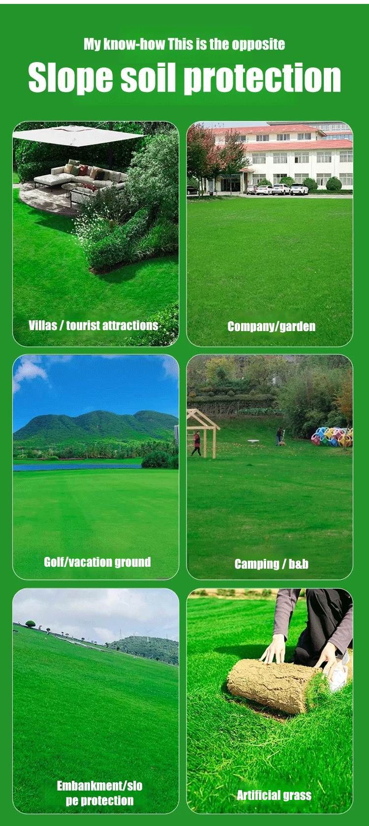 High-Density Repair Grass Seed - Dutch Technology Fast Germination Lawn Seed (7-Day Growth, 99% Germination Rate)