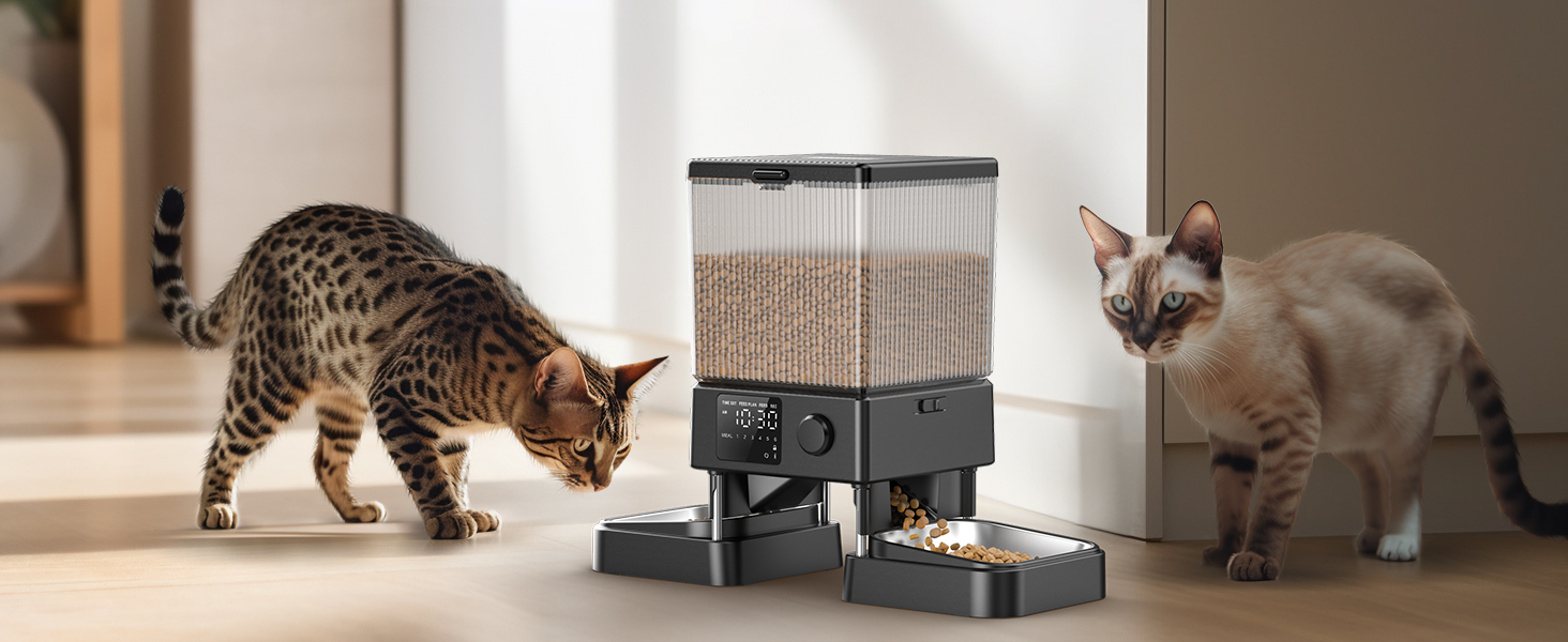 comedero automático