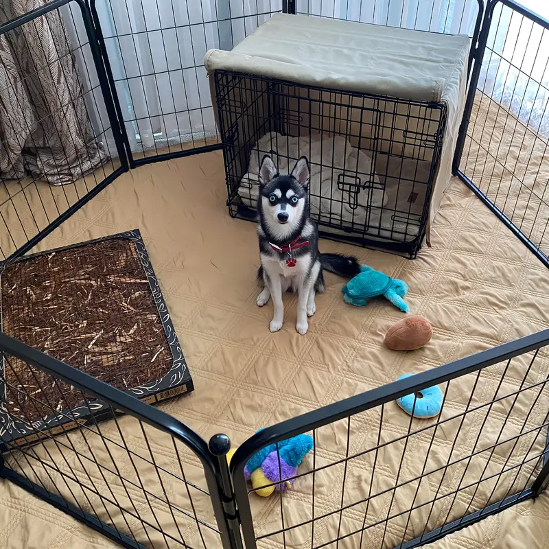 Corral para perros FXW dise&ntilde;ado para uso en interiores, altura de 24 para cachorros y perros peque&ntilde;os, patentado detalles 0