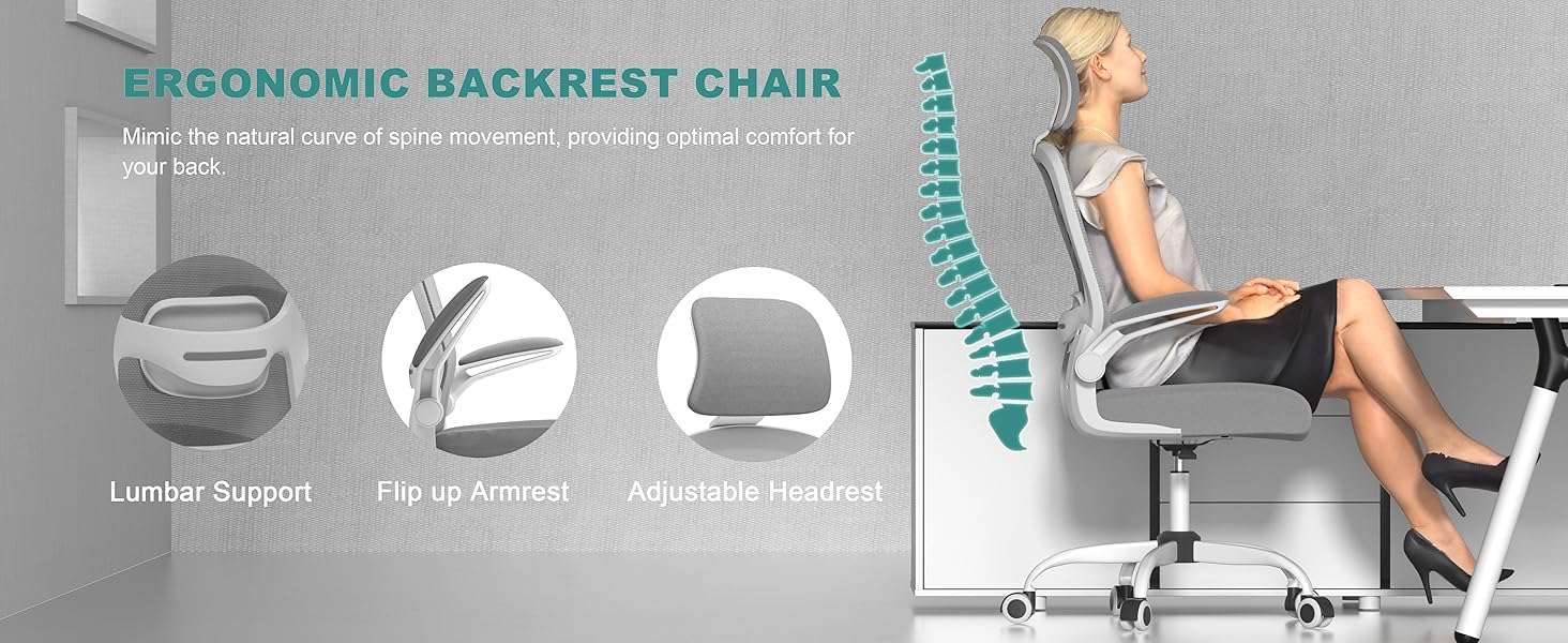 desk chair lumbar support