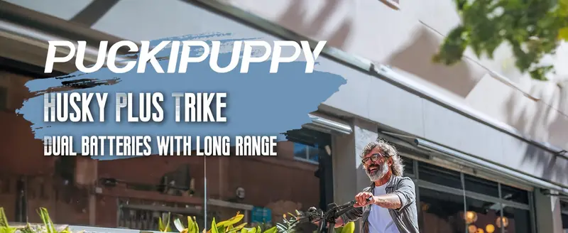   eléctrico para adultos con motor de 750 W, batería de   18 AH, clase de camioneta 500 LB de carga   eléctrico con llanta gruesa de 20 y canasta  , autonomía de 60 millas, para   y   de montaña, Husky detalles 0