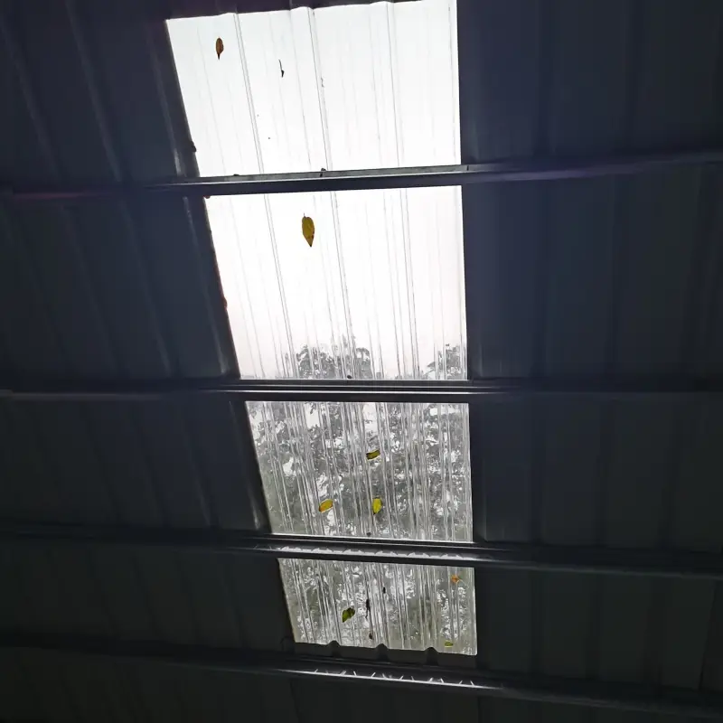 10片装，36.6英寸长 x 23.6英寸宽，总覆盖面积55平方英尺，采用易于安装的带凹槽聚碳酸酯塑料弯曲透明屋顶板 - 适用于温室和仓库 详情 5