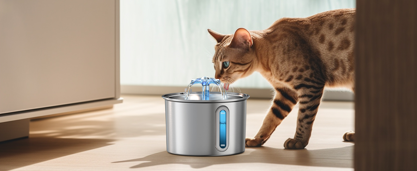 Comedero automático para Gatos