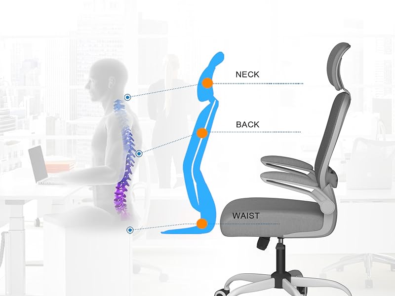 Contorna la forma de la columna vertebral, mantiene tu postura recta