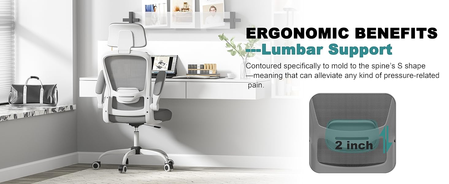 ergonomic back suport