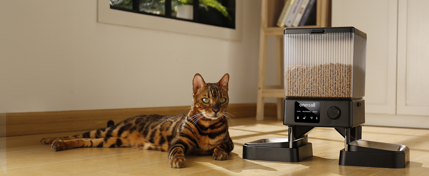 Comedero automático para Gatos