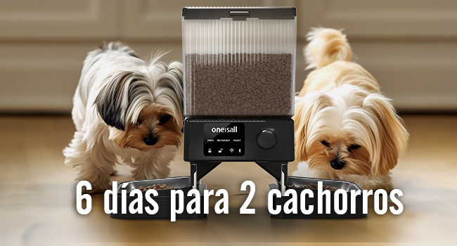 comedero automático