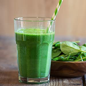 licuadora, licuadora de encimera, licuadora personal, sistema de cocina Ninja Professional Plus con Auto-iQ