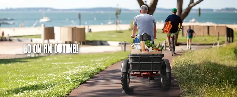   eléctrico para adultos con motor de 750 W, batería de   18 AH, clase de camioneta 500 LB de carga   eléctrico con llanta gruesa de 20 y canasta  , autonomía de 60 millas, para   y   de montaña, Husky detalles 2