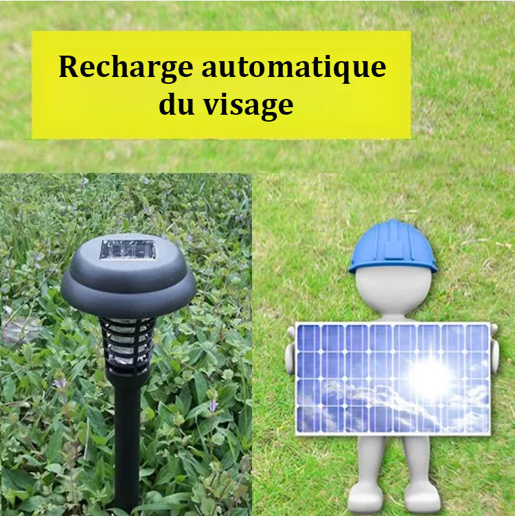Lampe de pelouse solaire 2-en-1 : éclairage et anti-moustiques
