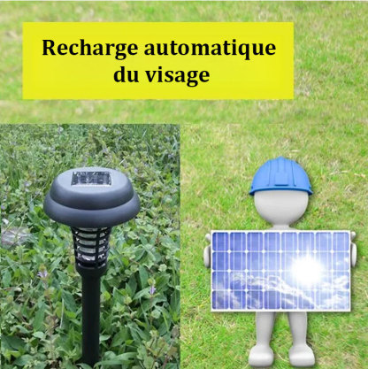 Lampe de pelouse solaire 2-en-1 : éclairage et anti-moustiques
