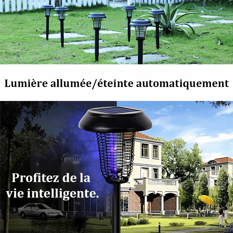 Lampe de pelouse solaire 2-en-1 : éclairage et anti-moustiques