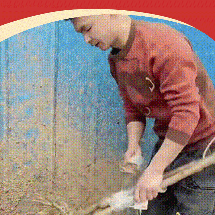 Planter des graines pour les semis de Chelsea