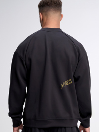 Men's Casual Loose Fit Raglan Sleeve Crew Neck Sweatshirt, Autumn