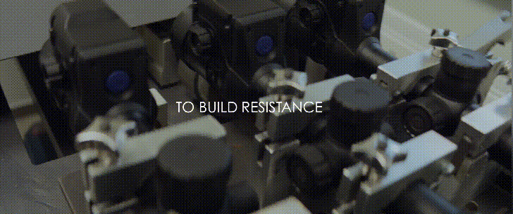 1735634256149989.gif 1.gif