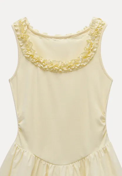 Women Ruffle Trim Sleeveless Fit & Flare Mini Dress