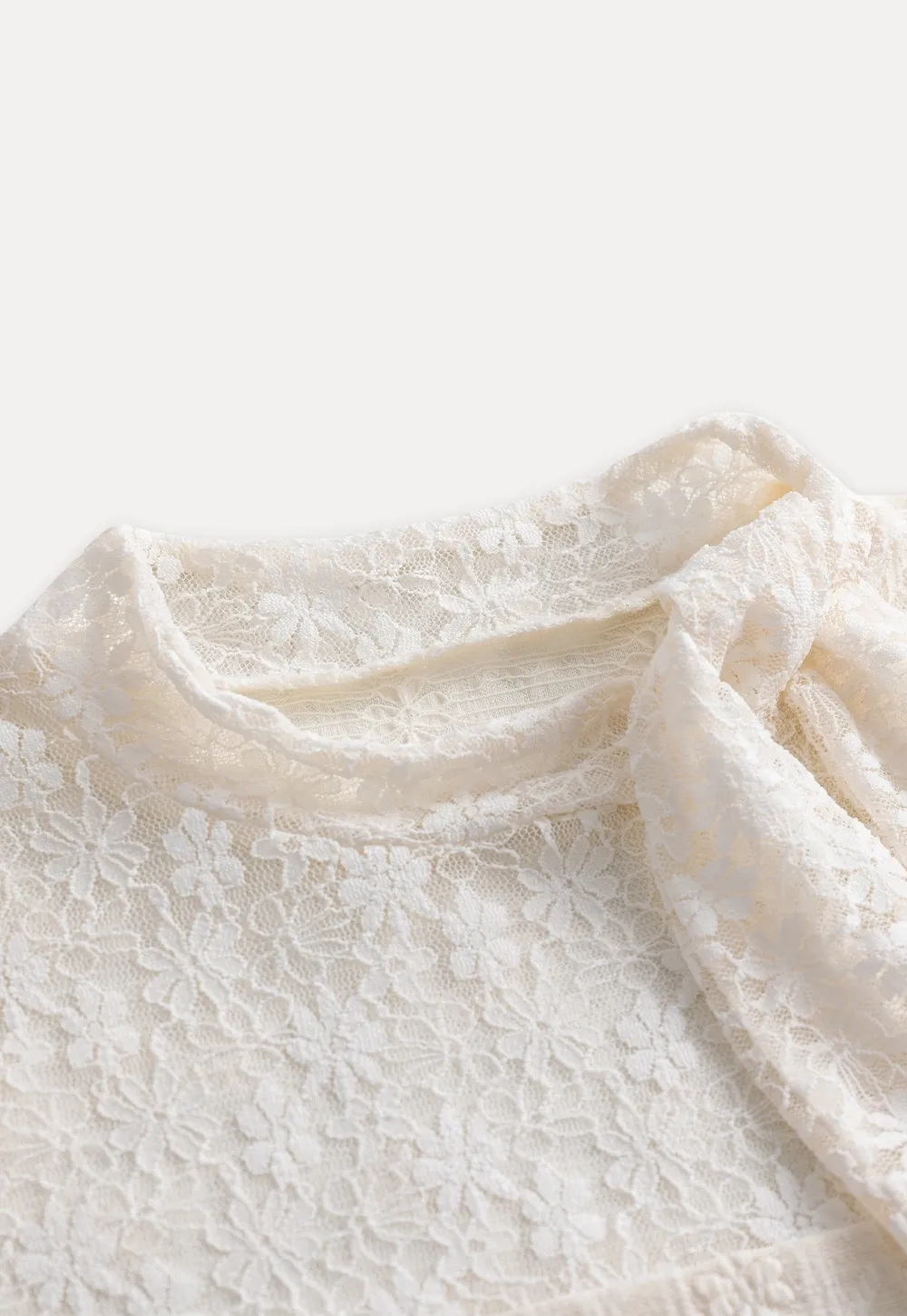 Lace Tie Neck Long Sleeve Blouse