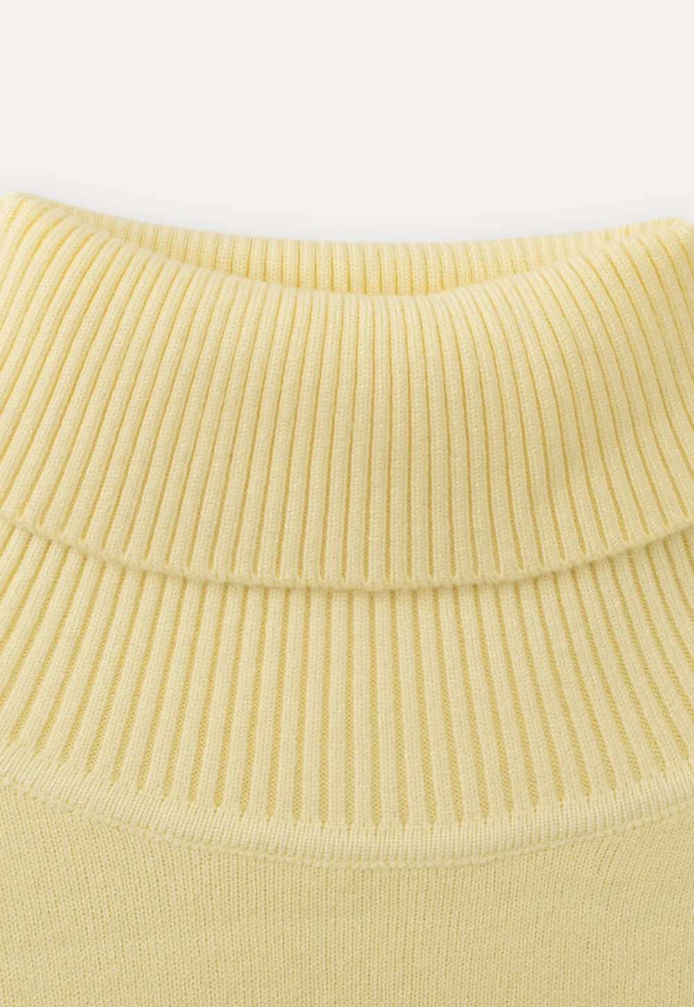 Soft Ribbed Turtleneck Sweater