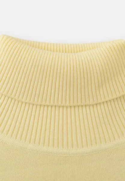 Soft Ribbed Turtleneck Sweater