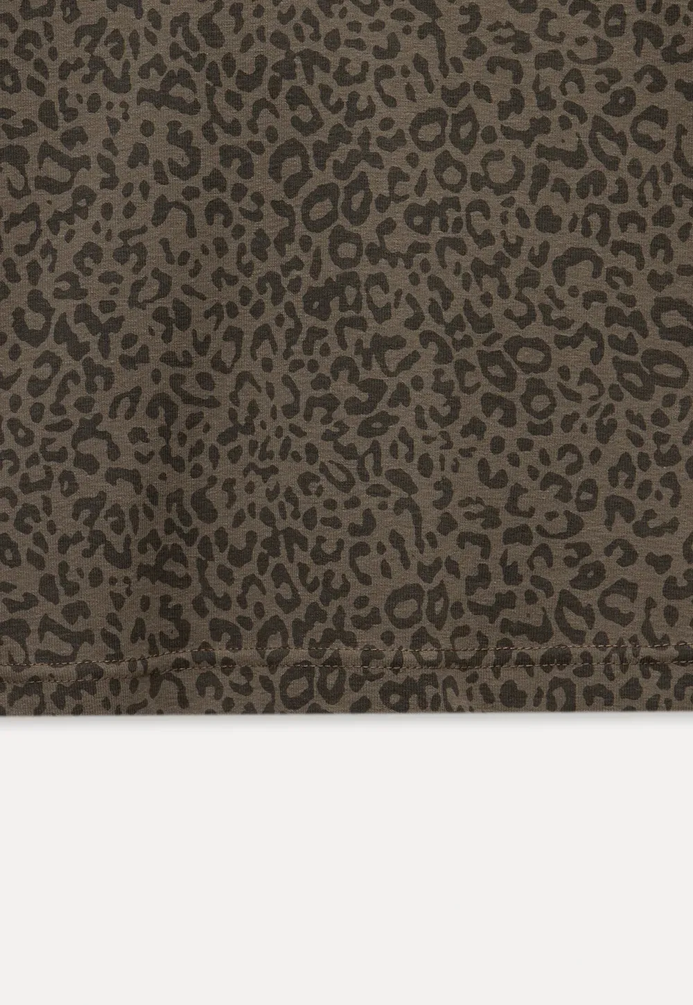 Leopard Print Long Sleeve Top