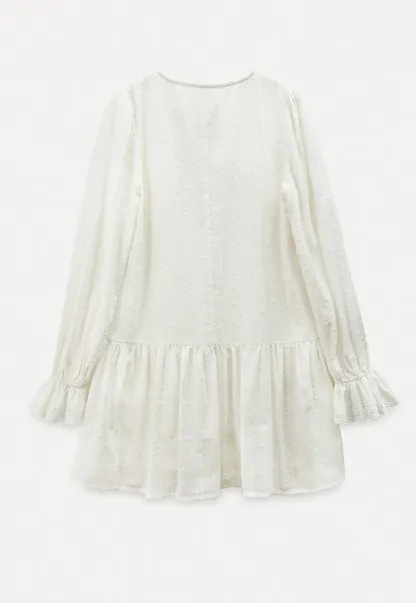 Elegant Long Sleeve Mini Dress with Flared Hem and Neck Tie