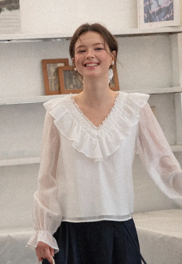 Ruffled V Neck Sheer Long Sleeve Blouse