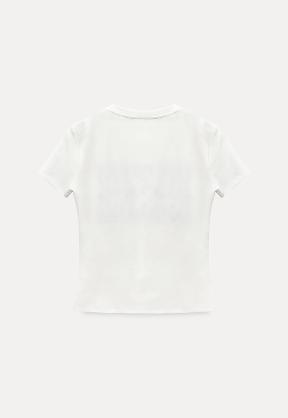 Short sleeve t shirt with embroidered pattern band