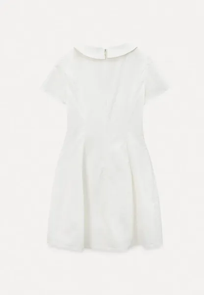 Button Front Dress with Peter Pan Collar and Short Sleeves