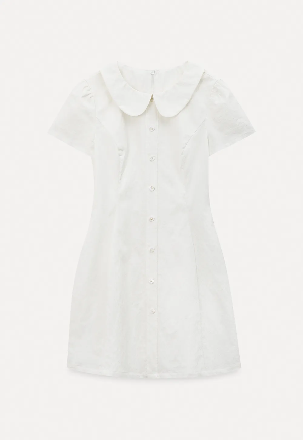 Button Front Dress with Peter Pan Collar and Short Sleeves