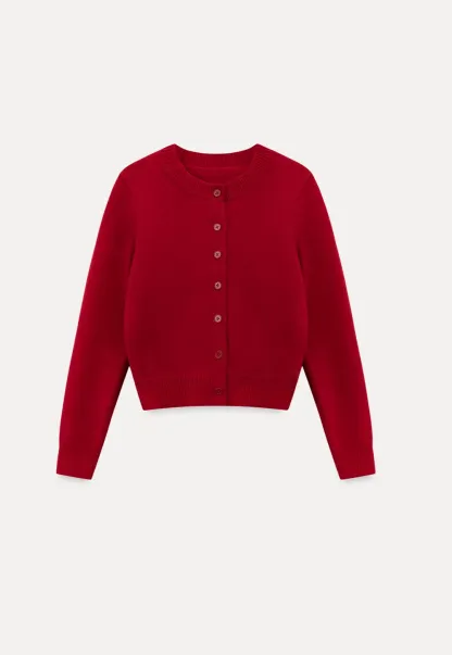 Stylish Knit Cardigan with Embroidered Design