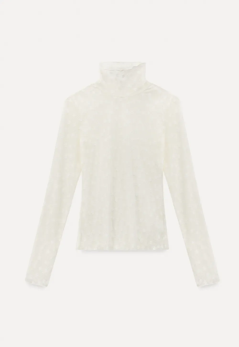 Sheer Star Print Long Sleeve Top