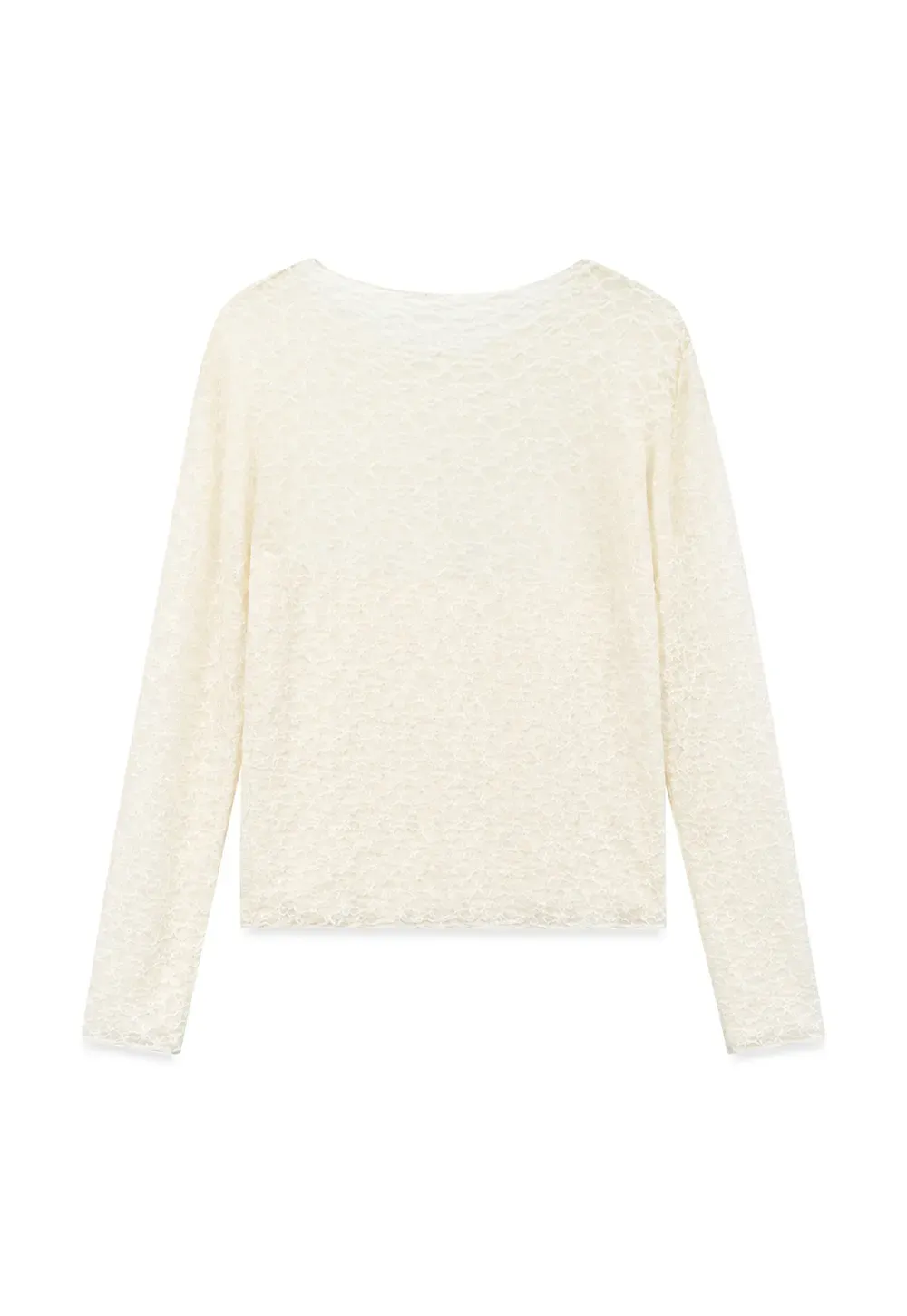 Sheer Lace Pattern Long Sleeve Blouse